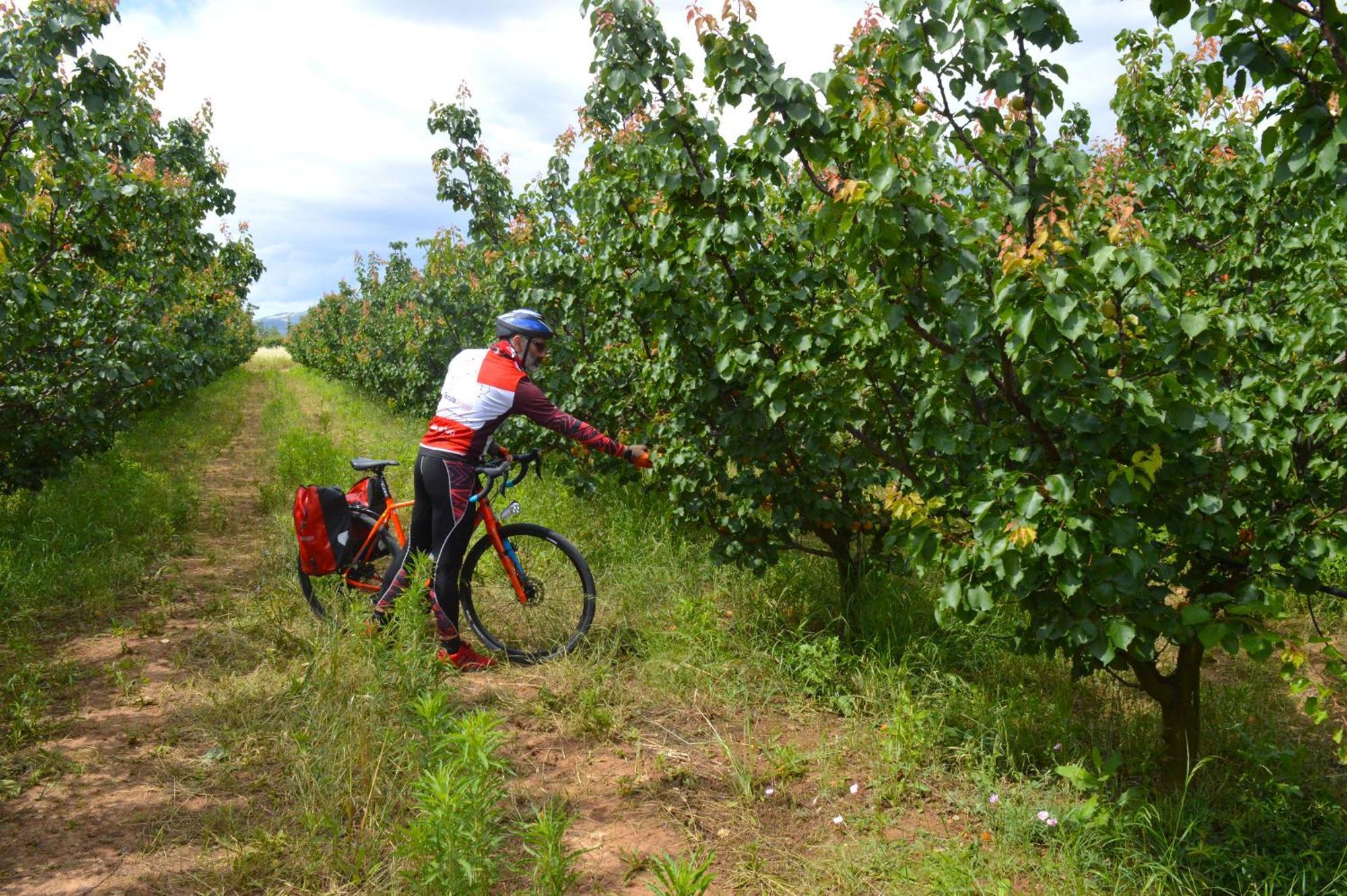 Azienda Agrituristica Il Pago Nova Siri Marina Kültér fotó