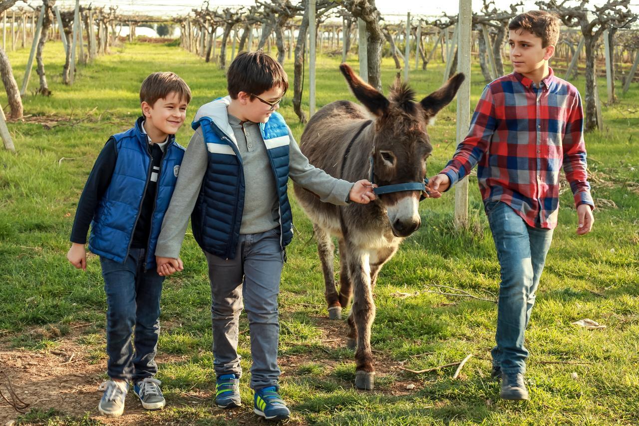 Azienda Agrituristica Il Pago Nova Siri Marina Kültér fotó