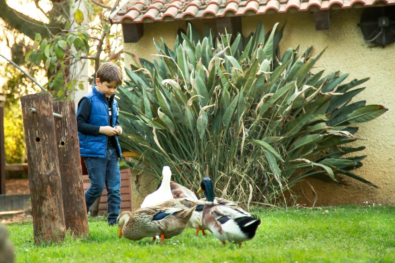 Azienda Agrituristica Il Pago Nova Siri Marina Kültér fotó